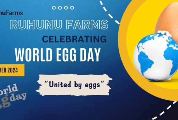 462693909_518548667608500_3946698279406082752_n 462693909_518548667608500_3946698279406082752_n